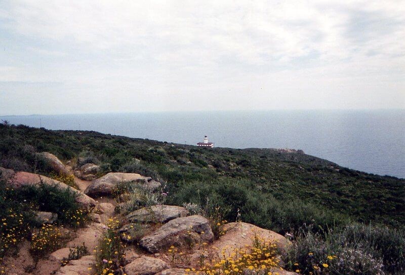 ISOLA DEL GIGLIO